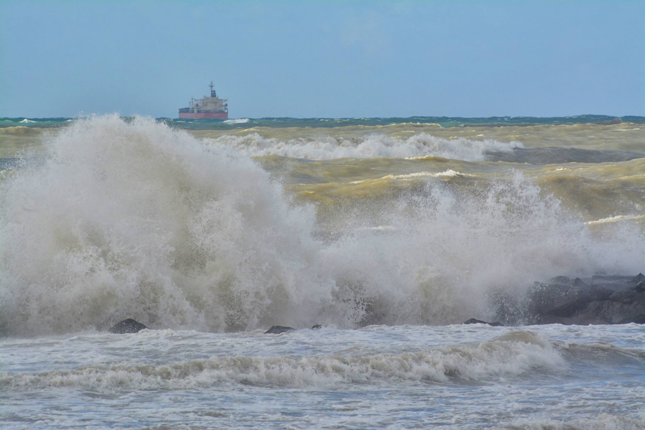 Che cosa chiamiamo davvero natura?